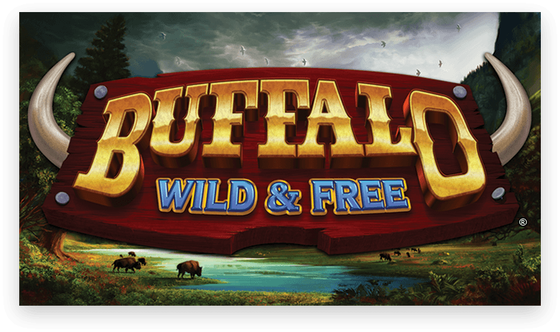 Buffalo Wild Free
